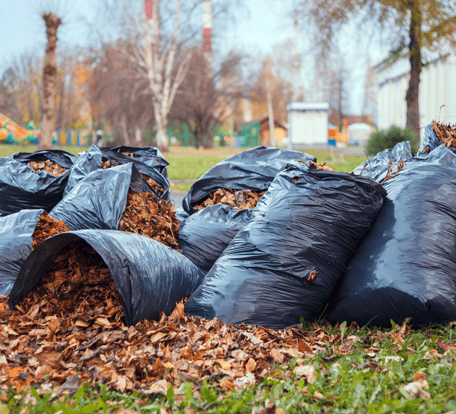 black trash bags filled with leaves