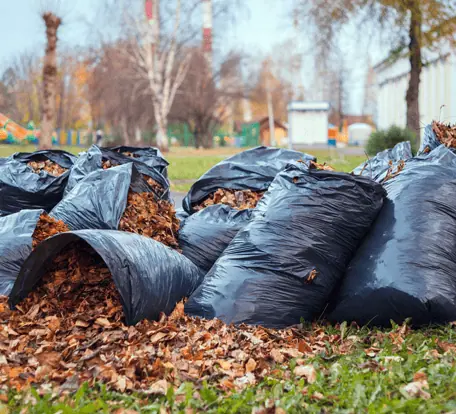 bags of leaves and yard waste ready for removal