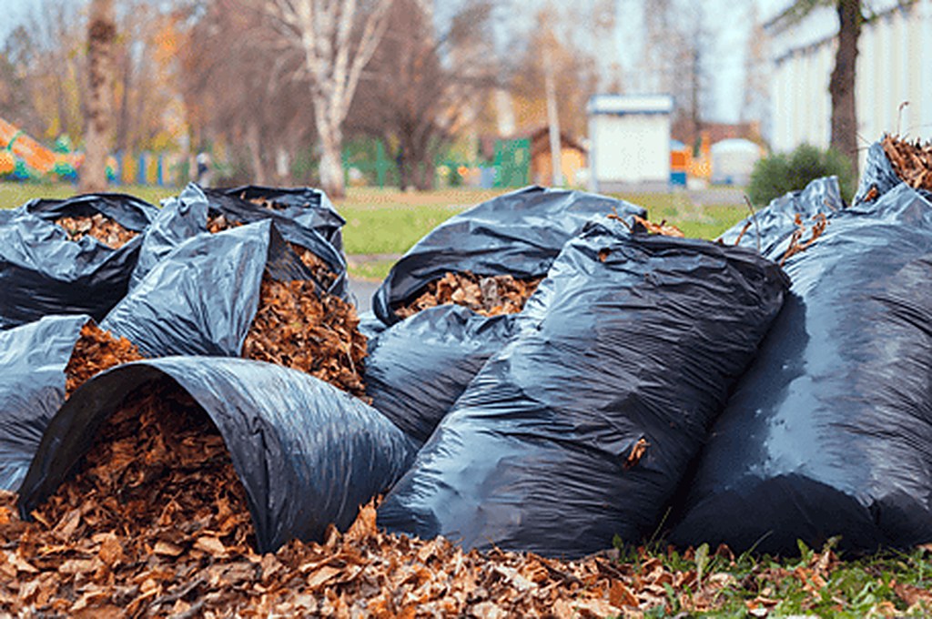 Bags of fall leaves stacked at the curb for yard waste collection in Chicago