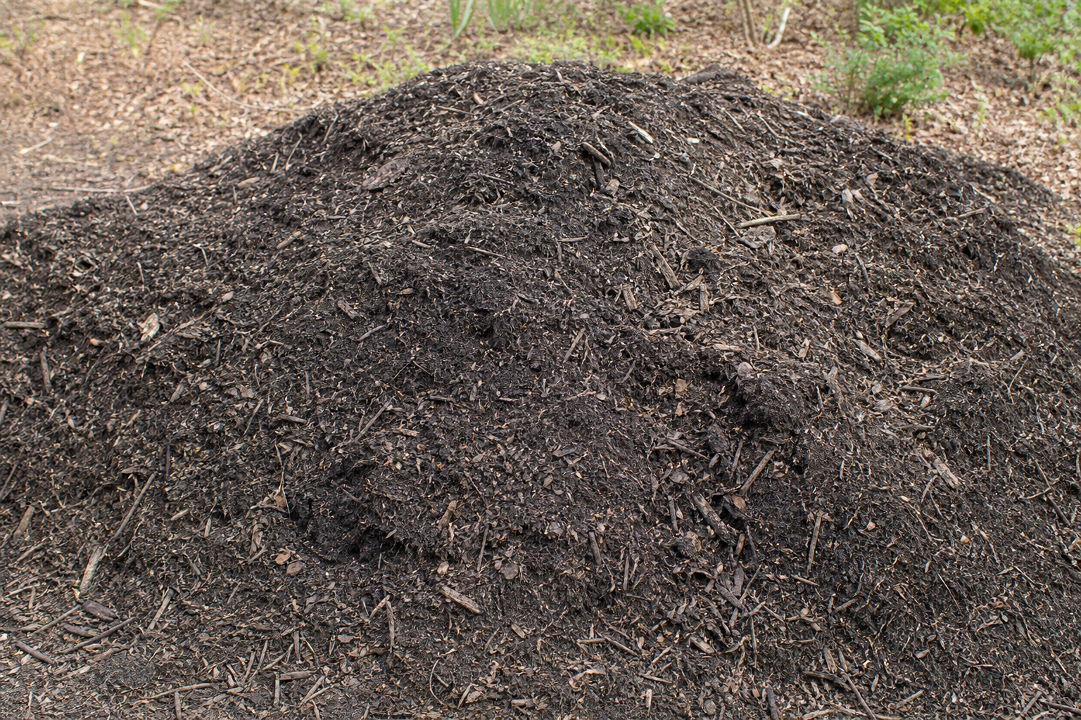 Pile of old dark mulch mixed with garden soil