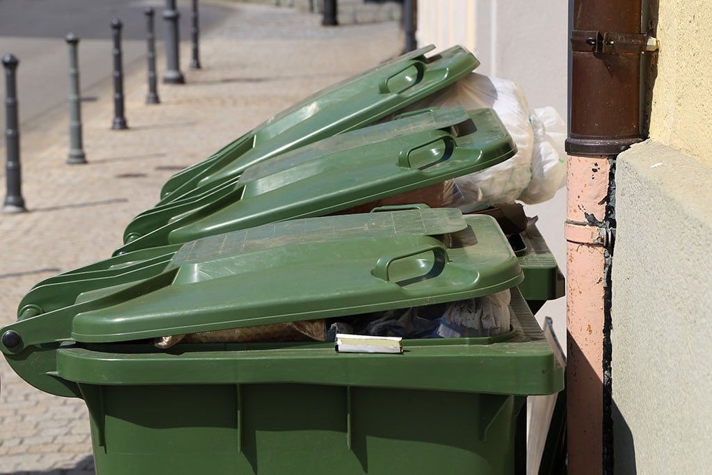 different types of junk is removed